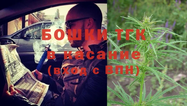 твердый Протвино