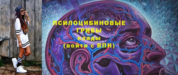 стаф Приозерск