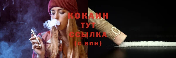 твердый Протвино