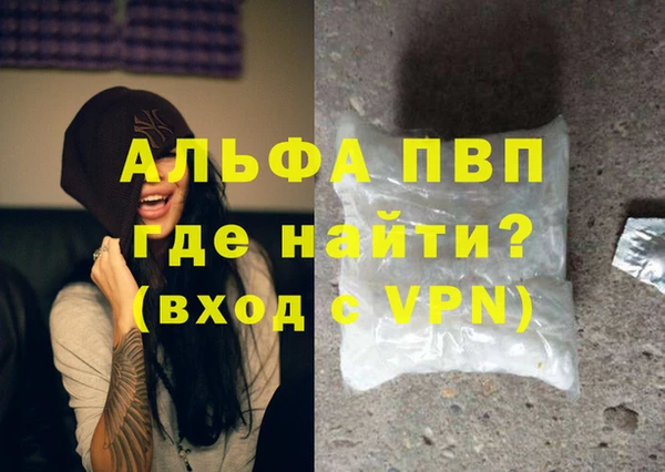 стафф Алексин